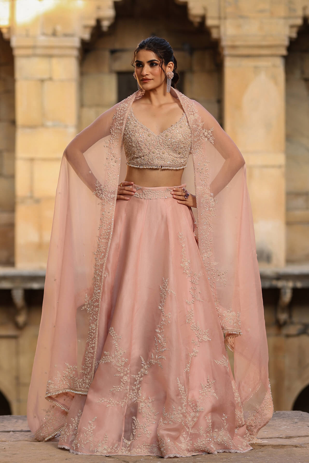 Light Pink Jaal Lehenga Set