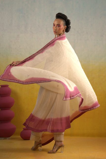 White Chikankari And Jaali Embroidered Suit Set