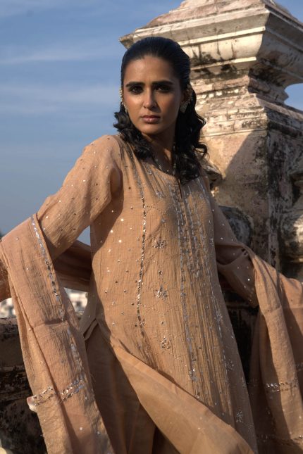 Nude Shade Kamdani Embroidered Kalidar Suit Set