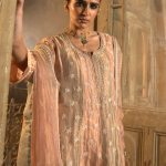 Multicolor Mukaish And Chikankari Anarkali Set