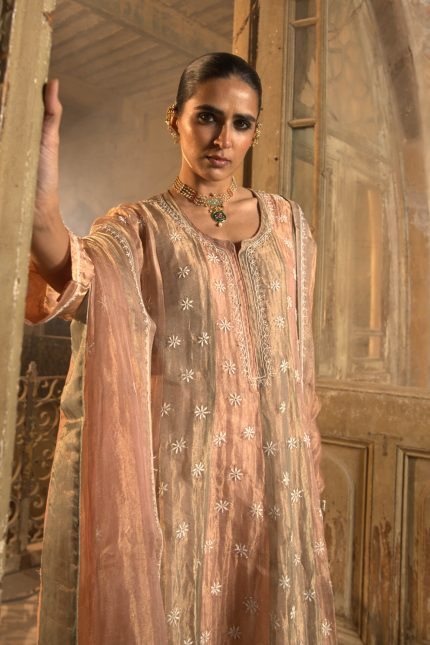 Multicolor Mukaish And Chikankari Anarkali Set