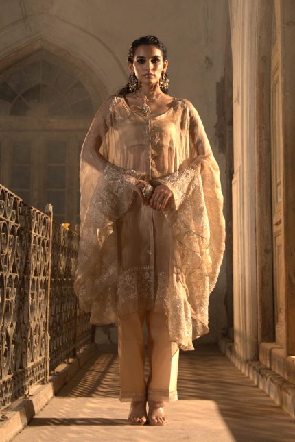 Gold Tissue Chikankari And Mukaish Embroidered Cape Set