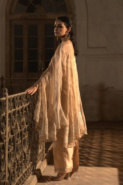 Gold Tissue Chikankari And Mukaish Embroidered Cape Set