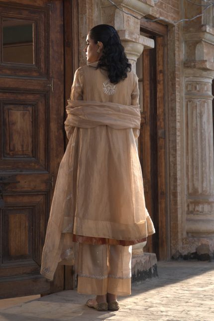 Gold Chikankari Embroidered Tisssue Suit Set