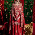 Red Aari Embroidered Sharara Set