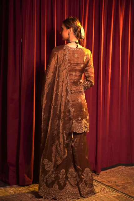 Brown Raina Tissue Embroidered Sharara Set