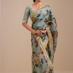 Birds Outside Cages Kalamkari Saree Set