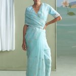 Clara Saree