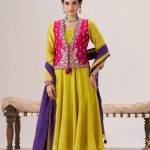Phulkari Jacket Set