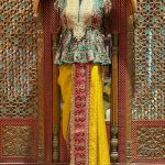 Mustrad highlighted Patola Border Saree