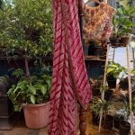 Maroon Bandhani Saree With Beige Floral Highlighted Blouse
