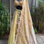 Shades of Green Banarasi Multi Pannel Highlighted Lehenga Set