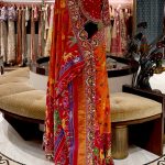 Orange Patola Animal Figures Highlighted Pallu Heavy Border Saree with Red Blouse