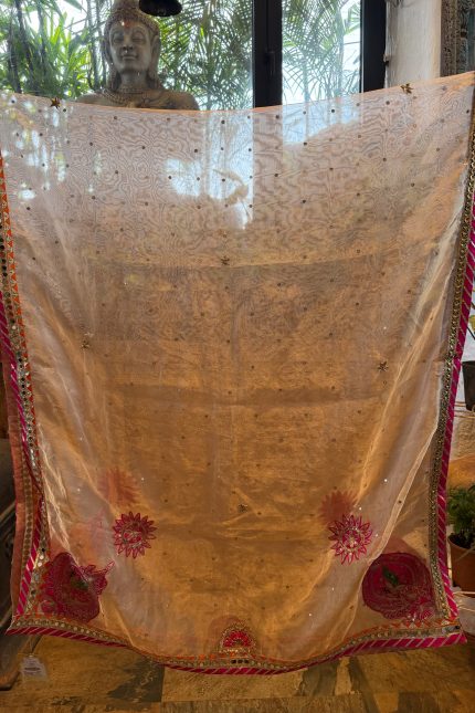 Beige Tissue Organza Dupatta
