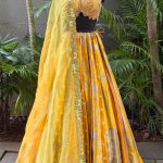 Shades of Yellow Banarasi Multi Pannel Highlighted Lehenga Set