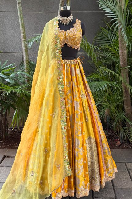 Shades of Yellow Banarasi Multi Pannel Highlighted Lehenga Set